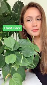 Kim Angle (mrskangle)