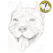 How To Draw A Pitbull Face Google Search Pitbull Drawing Animal Skull Drawing Dog Drawing