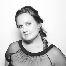 What slow cooker is suitable for cooking dog food?