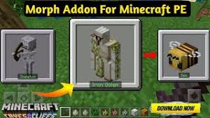 Mcdlhub.com is not affiliated with minecraft or mojang ab. Descarga De La Aplicacion Morph Addon For Minecraft Pe 2021 Gratis 9apps
