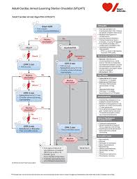 Image result for Ventricular Fibrillation Management in the Adult