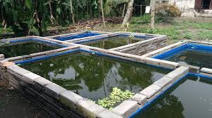 Pabrik Kolam Terpal Ukuran Custom Di Kigamani Yang Terpercaya Di 2020 Kolam Berburu Tanah