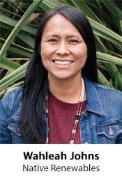 Navajo Nation solar and wind energy plan