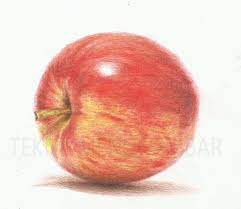 21 sketsa gambar apel lengkap mudah 3d beserta manfaatnya. Teknik Menggambar Buah Apel