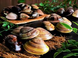 はまぐり お 取り寄せ