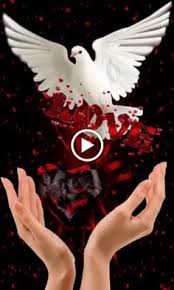 The downloader works perfectly with any browser on a pc or mobile device. Skaidrite Spakovska Skaidritespakov Profile Pinterest