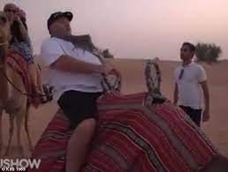 14 tips on how to prevent camel toe. Kyle Sandilands Deemed Too Fat To Share A Camel During Trip To Dubai With Jackie O Daily Mail Online