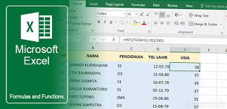 Cara Sederhana Menghitung Usia Seseorang Di Excel