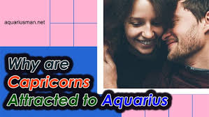 Cancer are more personal in their approach while aquarius a very open and friendly. Why Are Capricorns Attracted To Aquarius With 13 Reasons