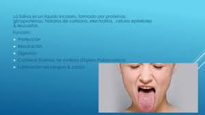 Bioquimica Saliva