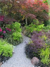 Shades Of Purple Provided By Beni Otake Japanese Maple Acer Palmatum Beni Otake And Velvet Cloak Smokebush Shade Garden Garden Paths Beautiful Gardens