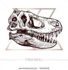 Skull Photos Et Images De Stock Skull Sketch Skull Drawing Animal Skull Drawing
