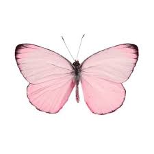 Why Isnt There A Butterfly Emoji Pink Butterfly Pink Heart Everything Pink