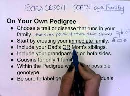 Create Your Own Pedigree