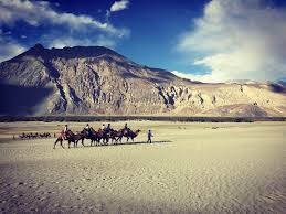 The camel's humps also help the animal regulate its body temperature, an important feature in the desert, where although the humps do not store water, camels are still incredibly efficient in the amount of water they use per day, which is why they are able to go nearly a week without drinking. The Sand Dunes In The Mountains This Is Hundar Village In Nubra Valley Located In The North Western Side Of Leh District Taki Bike Trips Mountains My Travel