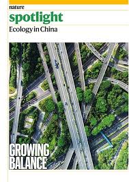 Used, broken or damaged cars. How To Limit The Ecological Costs Of Urbanization In China