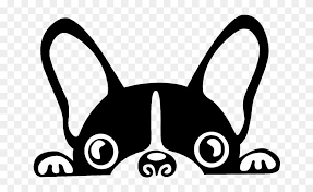 Boston Terrier French Bulldog Brazilian Terrier Puppy Cartoon French Bulldog Face Clipart 5653292 Pinclipart Boston terrier cartoon illustrations & vectors. boston terrier french bulldog brazilian