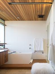 Wood Paneled Ceiling Modern Bathroom Moodboard Wood Plank Ceiling In Bathroom Bathroom Ceiling Home Ceiling Wooden Bathroom