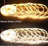 3014 240LEDs/m Tunable White LED Strip Light 24V 8mm