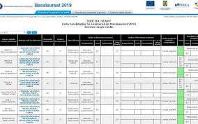 Rezultatele finale după contestații vor fi afișate sâmbătă 13 iulie, pe edu.ro și pe a1.ro. Rezultate Dupa Contestatii Bac 2019
