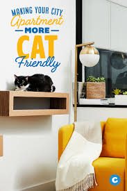 From salmon mousse and mouse toys to scratching posts, there are many ideas to choose from. Looking To Make Your Cat More Comfortable In Your Small City Apartment Check Out Some Essential Cat Supplies To Small Apartment Cat Cat Supplies Cat Apartment