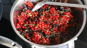 Comment Preparer Gelee Et Sirop De Groseilles Et Cassis Recette Par Chef Simon Sirop De Groseille Gelee Groseille Groseille
