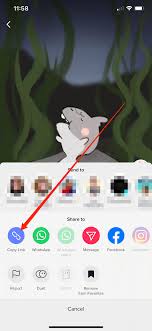 Tiktok Block Some Sharing Url From Tiktok App Isn T Reflected Properly On Live Site Issue 28263 Wordpress Gutenberg Github