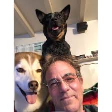 Babicz FCH3PT4BK Full Contact Hardware, Gibson-Style 3 Point, 4 String,  Black : Amazon.in: Musical Instruments