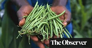 The toxins were also spiked and measured in a variety of food samples, including canned tomatoes, sweet corn, green beans, mushrooms, and tuna. How The Myth Of Food Miles Hurts The Planet Food The Guardian