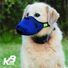 K9 Mask Dog Pollution Air Filter Masks Protect Dogs From Wildfire Smoke Smog Dust Mold Allergies Chemicals And Toxins Using N95 Dog Muzzle Dogs Dog Mask