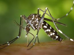 Christel Ghin Beauty - Irresistible Sensual Pics