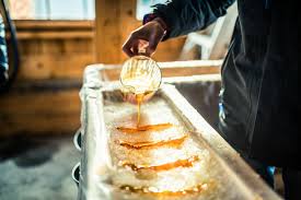 Cabane À Sucre Photos | Télécharger Des Images Gratuites Sur Unsplash