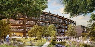 Our mission is to collaborate with our clients from concept to completion, creating modern landscapes that compliment and enhance their homes. Echo Street West Rios