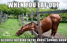 The Grass Is Always Greener On The Other Side Of The Fence Story The Grass Is Always Greener On The Other Side Of The Fence Funny Horse Pictures Funny Horses Funny Horse Memes