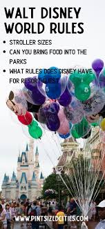 15 Walt Disney World Rules You Need To Know Before You Visit In 2020 Disney World Planning Walt Disney World Walt Disney World Vacations