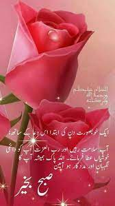 Pin By Salmankhan Khan On Abufarman Good Morning Flowers Beautiful Morning Messages Good Night Prayer