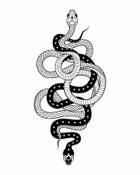 Tattoogirldesign Tattoogirldrawing Tattoogirlface Tattoogirlsmall Snake Tattoo Design Snake Drawing Tattoo Drawings