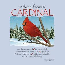 Blue Birds That Look Like Cardinals Cardinal Gram S Favorite And All Things She Would Have Said Cardinal Birds Bird Quotes Cardinal Birds Meaning