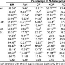 Image result for Gutenbergia rueppellii