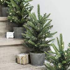 Potted Spruce Christmas Tree 1ft Pre Lit The White Company Uk Luxury Christmas Tree Simple Christmas Pre Lit Christmas Tree