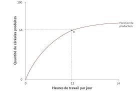 L Economie Rarete Travail Et Choix