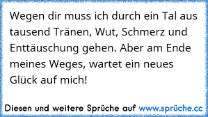Wegen Dir Muss Ich Durch Ein Tal Aus Tausend Tränen Wut Schmerz