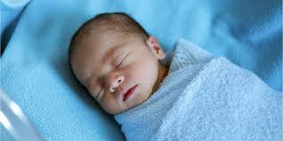 Cebras México Mujer México