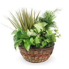 Damien J. "Foxy" Foxhoven Obituary February 24, 2022