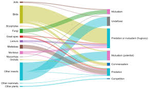 Image result for Harungana montana