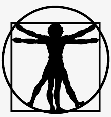 Leonardo da vinci mona lisa art painting painter, monalisa, art, shoulder png. Cropped 24442130 Leonardo Da Vinci S Vitruvian Man Da Vinci Human Silhouette Transparent Png 1300x1300 Free Download On Nicepng