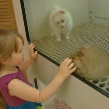 Find 2 listings related to pets r us in omaha on yp.com. Photos At Pets R Us Omaha Ne