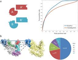 College & university in bangkok, thailand. A Novel Geometry Based Approach To Infer Protein Interface Similarity Scientific Reports