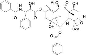 It provides you a reasonable price for the prostate cancer treatment … Https Www Mdpi Com 2227 9059 9 5 500 Pdf