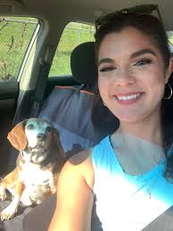 It's hard being a beagle puppy 💁🏼‍♀️